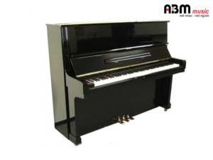 Đàn Piano Cơ EARL WINDSOR W112