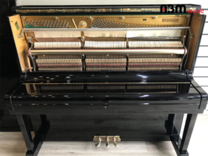 Đàn Piano Cơ PRUTHNER 300