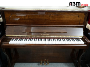 Đàn Piano Cơ STEINBURG