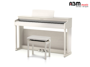 Đàn Piano Điện KAWAI CN25 A