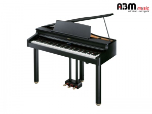 Đàn Piano Điện Roland RG-1