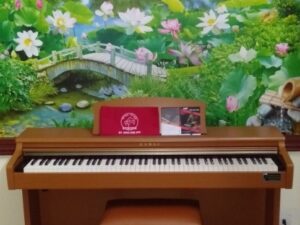 Piano Điện Kawai CN23C