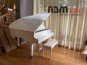 Đàn Grand Piano Yamaha-CG1