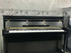 Đàn Piano Điện Kawai HA10