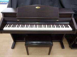 Đàn Piano Điện Kawai PW7R